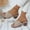 Khaki, variant on WIZUTIZ Shower Slippers for Women Comfortable Trendy Slides for Women Summer EVA Soft Slides Slide Sandals Beach Slide Sandals Outdoor Flat Heel Yoga Mat with Arch Support Slide Sandals for Lady
