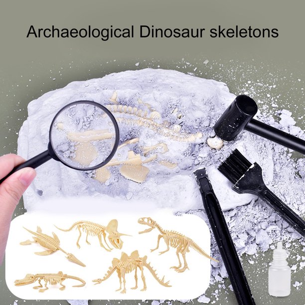 Gwong Juguete Dinosaurio arqueológico Esqueleto Simple Operación Anti-deforma Plástico Dinosaurio Fósfera de la excavación del juguete para niños Gwong 30014552