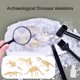 thumbnail image 1 of Gwong Juguete Dinosaurio arqueológico Esqueleto Simple Operación Anti-deforma Plástico Dinosaurio Fósfera de la excavación del juguete para niños Gwong 30014552, 1 of 6