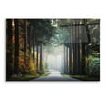 thumbnail image 1 of Epic Art 'Mysterious Roads' by Martin Podt, Acrylic Glass Wall Art, 24"x16", 1 of 3