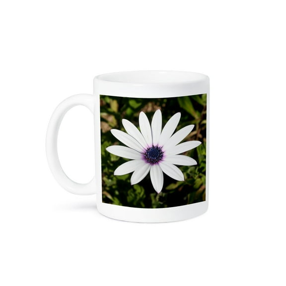 3dRose, Osteospermum White Daisy, Purple Center, Cape Daisy, Blue-eyed Daisy, 15oz Mug