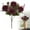 Scarlet, variant on 1Pc Fake Peony Flowers with Stems,5 Heads Real Look Silk Peonies Bouquet Bulk for Table Centerpieces Bridal Kitchen Decor,Scarlet