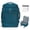 Green, variant on WANDF 18'' Carry on Travel Backpack with Clear Toiletry Bag,30L Airline Approved Personal Item Bag 18x14x8 with USB Port, Laptop Backpack Casual Daypack for Weekender Business(Blue)