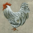 thumbnail image 2 of Zarris, Chariklia 26x26 Black Ornate Wood Framed with Double Matting Museum Art Print Titled - Roost II, 2 of 4