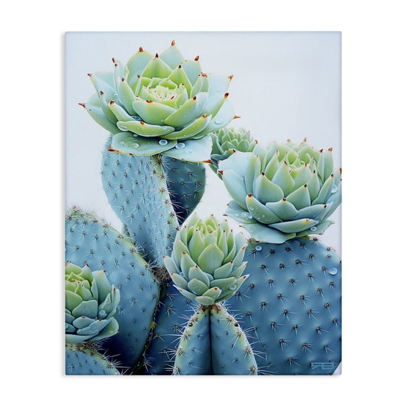 Stupell Industries Contemporary Cactus with Succulent Blooms Canvas Art, 16 x 20, by RB