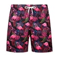 thumbnail image 3 of Mens Swim Trunks with Quick Dry Swimming Trunks Beach Sports Short for Men Swimming Bathing Suits L, 3 of 9