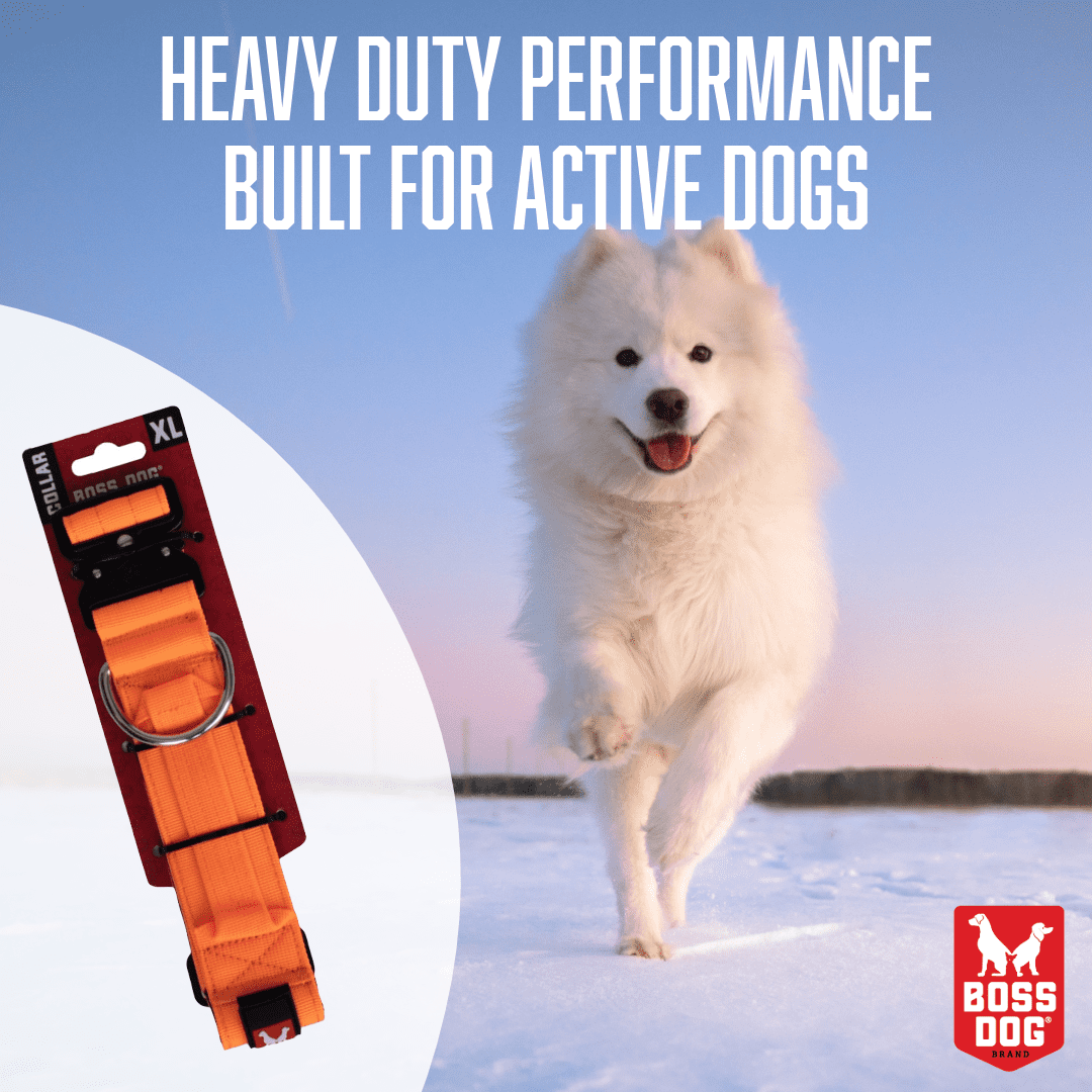 Boss Dog Tactical Collar, Hunter Orange, X-Large