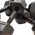 thumbnail image 2 of Element Fitness Virgin Rubber Hex Dumbbell 75 lb Low Odour Ergo Handle, 2 of 3
