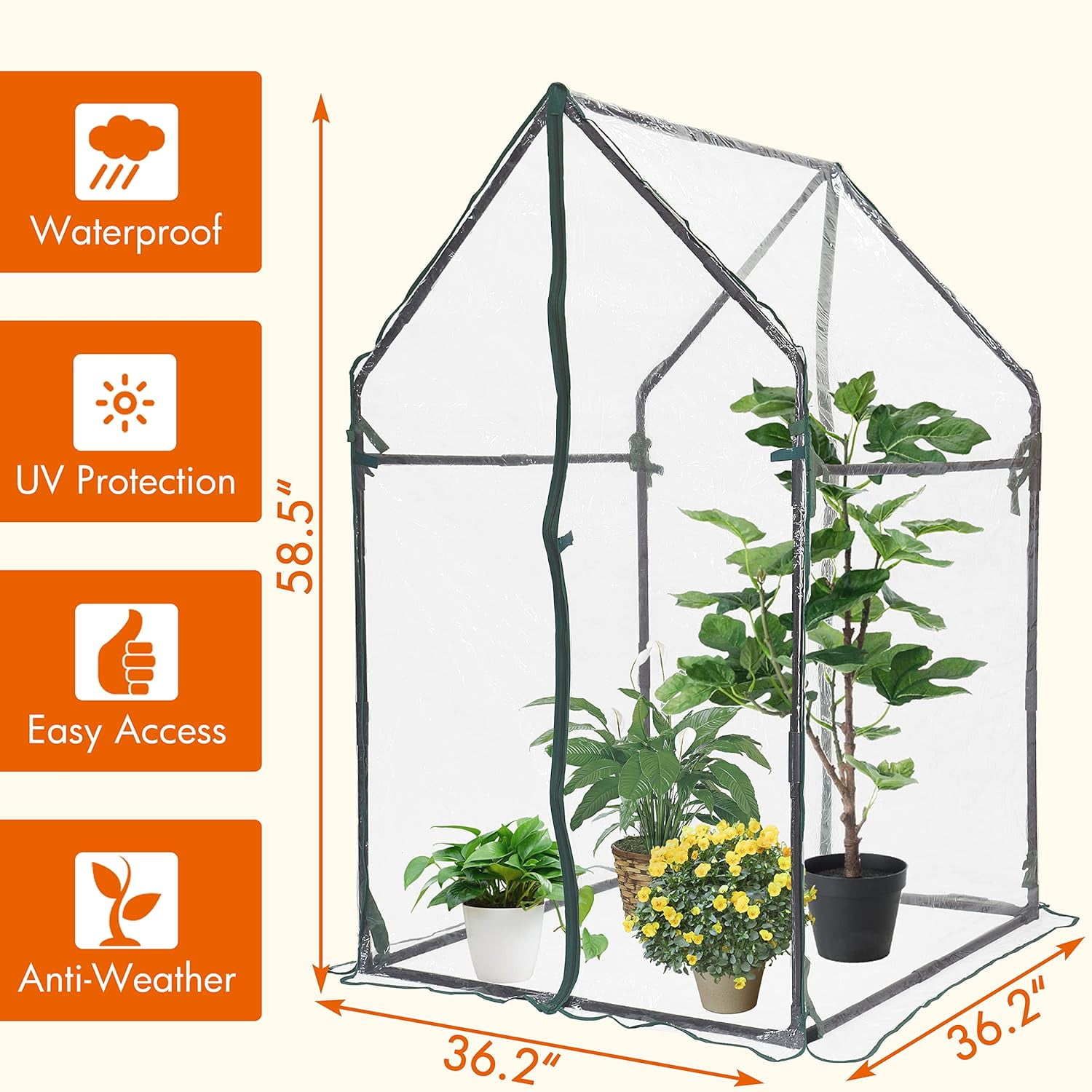 Gardzen Mini Greenhouse 36" x 36" x 60", Portable Small Greenhouse with Zippered Door for Seed Starting, Seedlings and Winter Protection