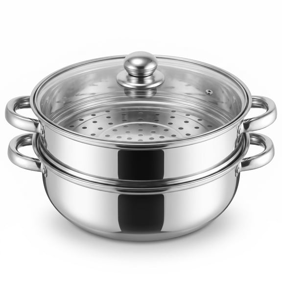 LZSDS Stainless Steel Steamer Pot 2 Tier, Double Layer Vegetable Dumpling Steam Cooker with Glass Lid for Seafood Meat