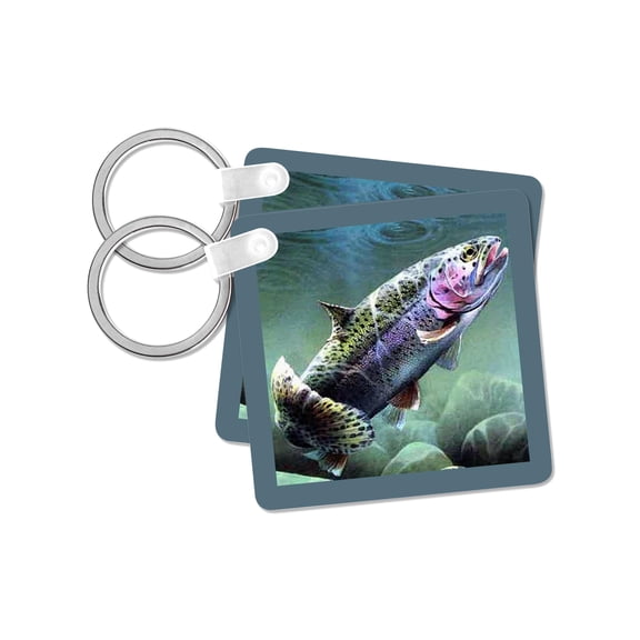 3dRose, Rainbow Trout, set of 2 Key Chains