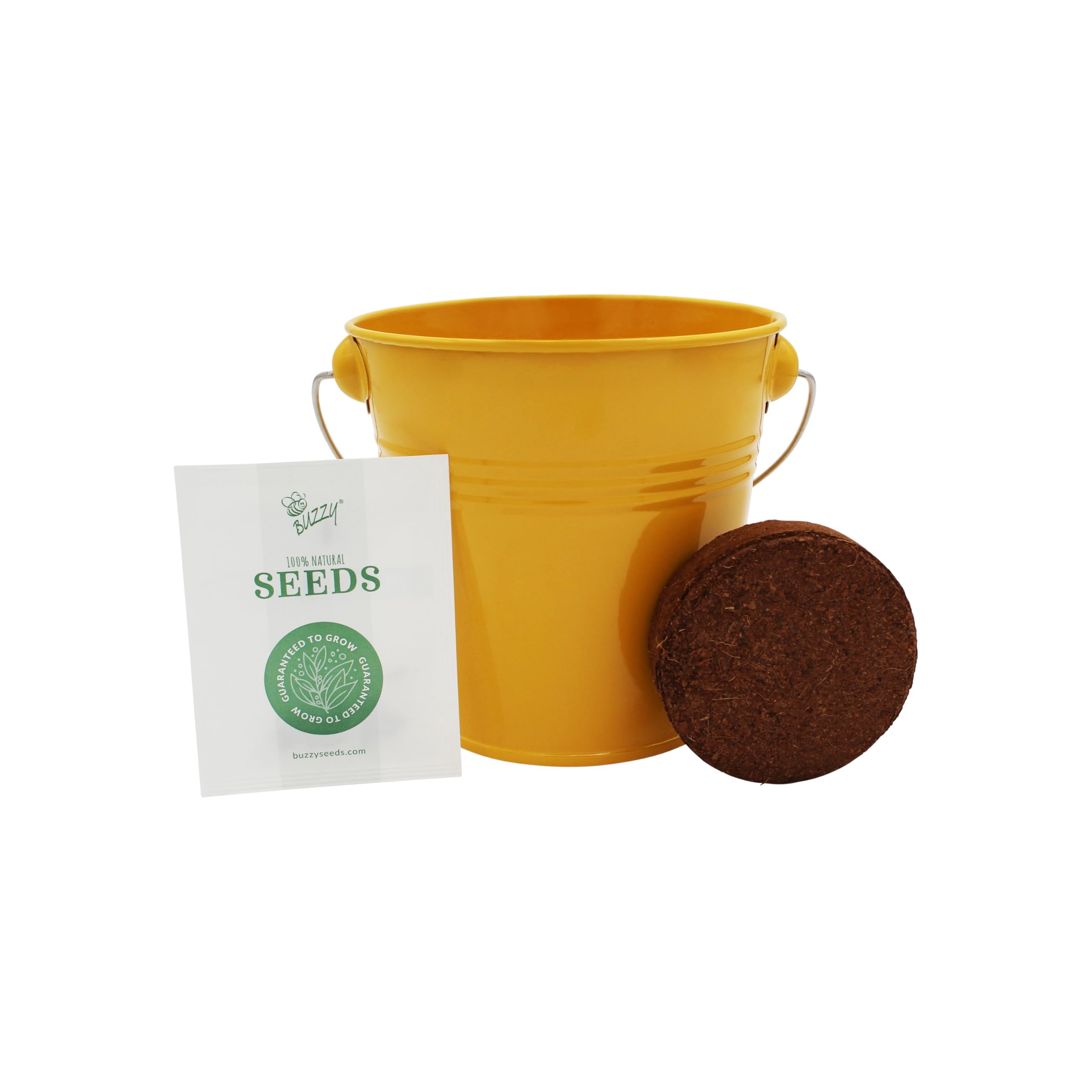 Pollinator Grow Kit 2-Pack – Aster & Sunflower Seeds in Yellow Pails with wood handles