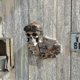 thumbnail image 1 of Skull Helmet Holder Wall Decor, 1 of 1