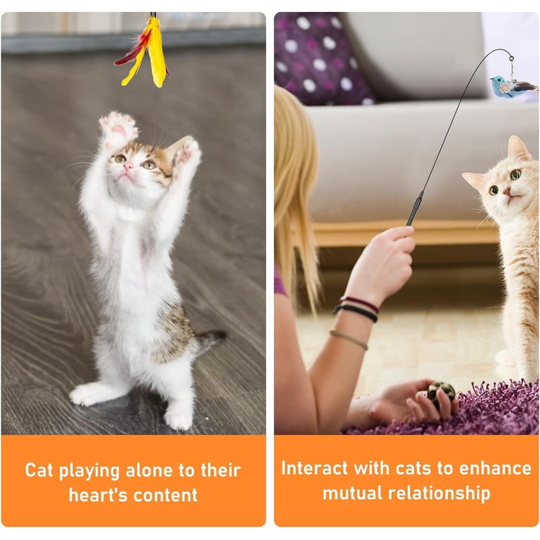 Qoosea Interactive Cat Feather Toys, 10-Piece Set photo 6