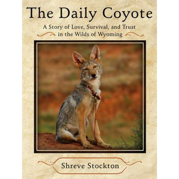 Pre-Owned The Daily Coyote: A Story of Love, Survival, and Trust in the Wilds of Wyoming (Hardcover) 1416592180 9781416592181