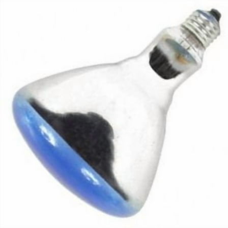 GE 26641 - 75R30/FL/65WM/B Colored Flood Light Bulb