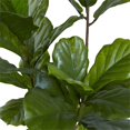 thumbnail image 3 of Nearly Natural Fiddle Leaf Indoor/Outdoor UV Resistant Tree, 65-Inch, 3 of 5