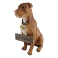 thumbnail image 5 of Ebros Lifelike American Pit Bull Pet Dog Statue W/ Jingle Collar And Sign 13" H, 5 of 9