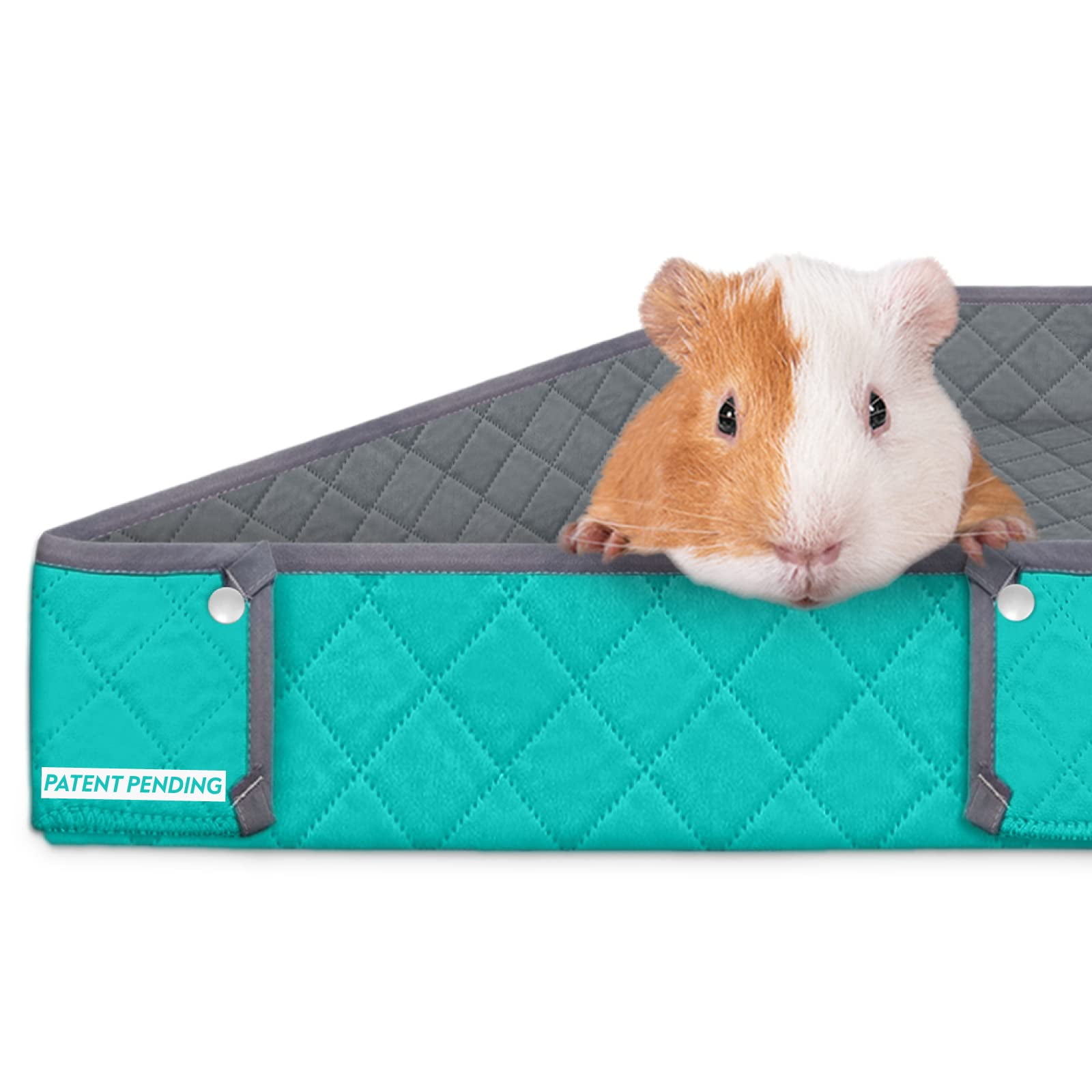 Guinea pig bedding options 2025