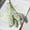 Light Green, variant on Morttic 6PCS Artificial Vanilla Mini Foam Berry Spike Home Wedding Table Artificial Flowers Bouquet Decoration (Pink)