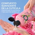 thumbnail image 4 of Acondicionador Suavidad Rosa Mosqueta Herbal Essences para mayor brillo y suavidad 400 ml, 4 of 5