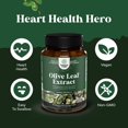 thumbnail image 4 of Suplemento de extracto de hoja de olivo artesanal de Natures con un 20% de oleuropeína, 4 of 8