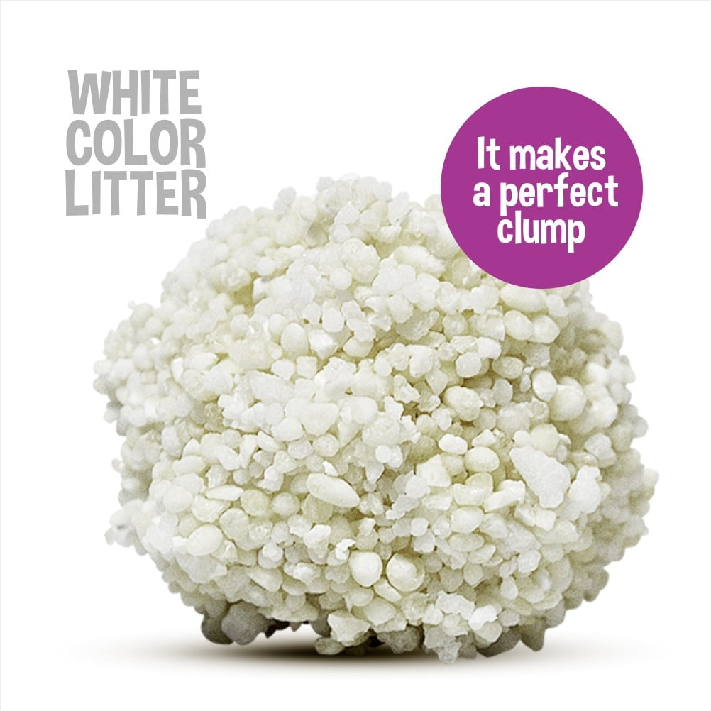 garfield cat litter walmart