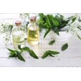 thumbnail image 1 of Forget Me Not Fragrance Oil, 1 of 1
