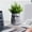 Gray_New#3101, variant on Qaailabf Resurrection Islands Stone Statue Flower Pot | Resin Home Decor | Indoor Outdoor Planter | Unique Housewarming Gift | Weather-Resistant Ornament | Versatile Decorative Container