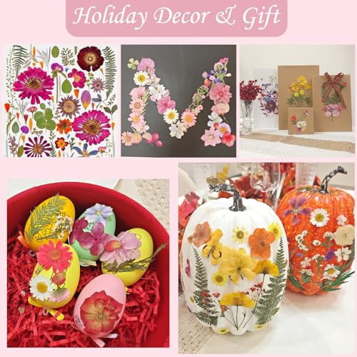 80 Pcs Dried Flowers for Crafts, Real Natural Pressed Flowers in Soft Yellow, White & Pink for Resin Art, DIY Jewelry, Candle and Soap Making Kit with Tweezers Included