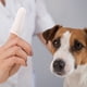 thumbnail image 5 of 10 Uds. Cepillo de dientes para mascotas para perros pequeños, funda para el dedo, cepillo de dientes, 5 of 6