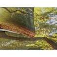 thumbnail image 3 of Ambesonne Tree Quilted Coverlet 3 Pcs, Oak Autumn Leaves, Queen Size, Orange Green Brown, 3 of 4