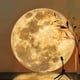 thumbnail image 1 of Luz de noche con carga USB que crea una atmósfera romántica de luna. Regalo de cumpleaños perfecto para mujeres y amantes. Proyector de luz de luna de 360°, 1 of 5