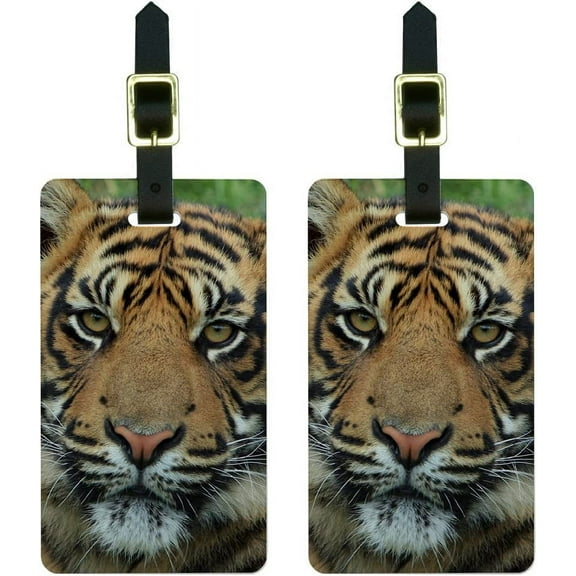 Bengal Tiger Luggage Tags Suitcase Carry-On ID Set of 2