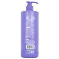 thumbnail image 2 of Shampoo Color Protect Daily Hair repair Chia Seed 100% sulfate & Paraben Free 1000ml By Alpha New York, 2 of 4
