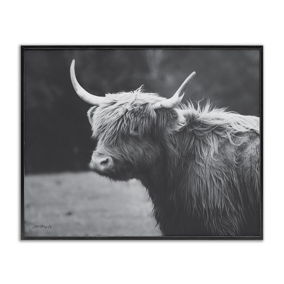 Stupell Industries Traditional Country Cattle Highland Farm Animal Black Framed Giclee Art, 14 x 11, by Dakota Diener