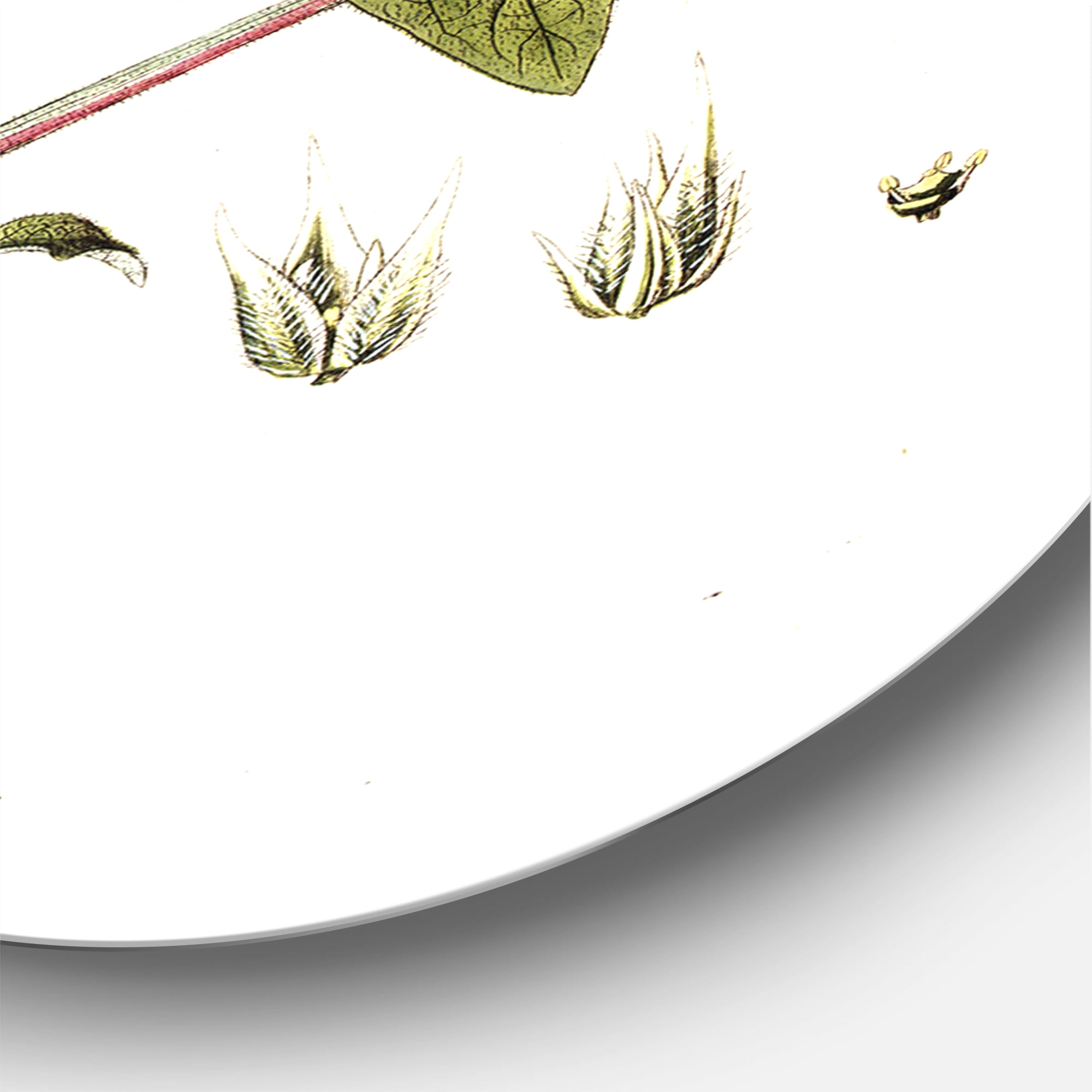 Designart 'Ancient American Flora IV' Traditional Circle Metal Wall Art 36x36 - Disc of 36