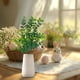 thumbnail image 4 of Ramo de Mano de Hojas Verdes de Simulación de Primavera para Boda, Ramo de Boda, Ramo de Mesa, Decoración Del Hogar, Flores, 4 of 6