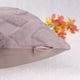 thumbnail image 4 of REGALWOVEN 2Pcs Fundas de Almohada de Terciopelo Suave Decorativas para Dormitorio Sala de Estar Rosa-2 18" x 18", 4 of 6