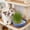 Blue, variant on Cat Grass Planter, Hydroponic Catnip Growing Kit, Whale Shaped Indoor Cat Wheatgrass Planter, Soilless Planting Pot, Cute Cat Gift, Blue/Gray/Pink