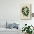 thumbnail image 3 of Trademark Fine Art 'Leaves on Linen II' Canvas Art by Unknown, 3 of 4