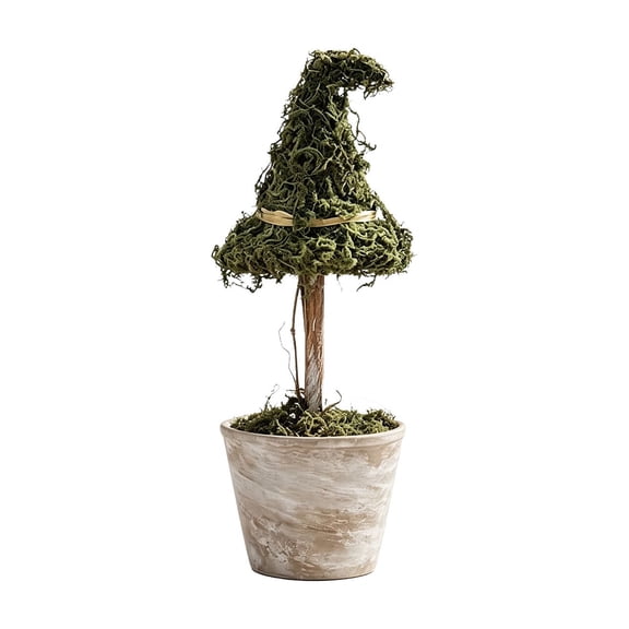 Halloween Decorations Indoor,Halloween Natural Witch Hat Topiary Tree In Pot Dried Botanical Tabletop Decor Gothic Potted Ornament For Mantel Shelf Indoor Holiday