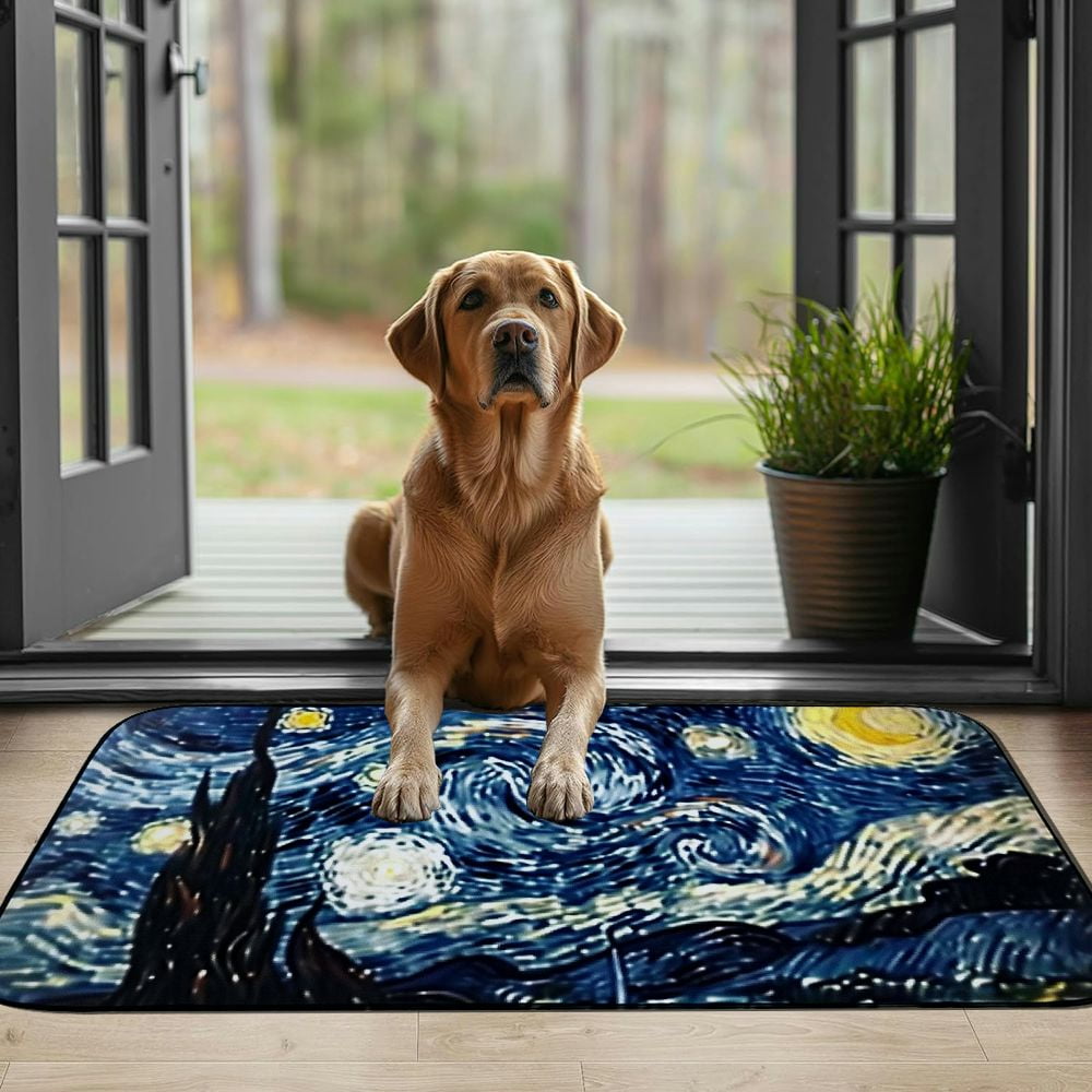 PHYHOO Decorative Door Mat, Door Mat with Non-Slip Rubber Backing, Easy Cleaning, Traps Dirt, Rug for Entry, Patio, Garage