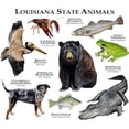 thumbnail image 2 of CafePress - Louisiana State Animals Mug - 11 oz Ceramic Mug - Novelty Coffee Tea Cup, 2 of 4