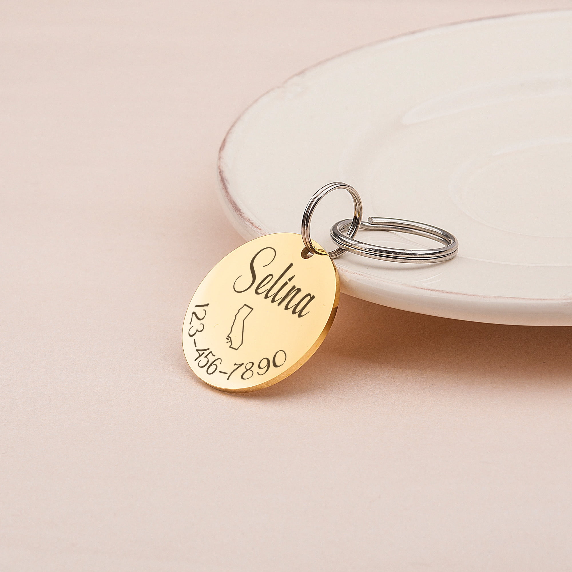 Anavia Stainless Steel Metal Round Name - State - Phone Number Birthday Holiday Christmas Engraved Dog Cat ID Tag, Gold