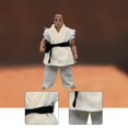 thumbnail image 5 of Figura de acción a escala 1/12, ropa, disfraz de muñeca, uniforme de judo, ropa en miniatura, cinturón de pantalón superior para cuerpo masculino de 6 Blanco, 5 of 5