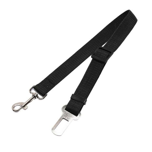 Correa de nailon Zulema para mascotas perros y gatos color negro