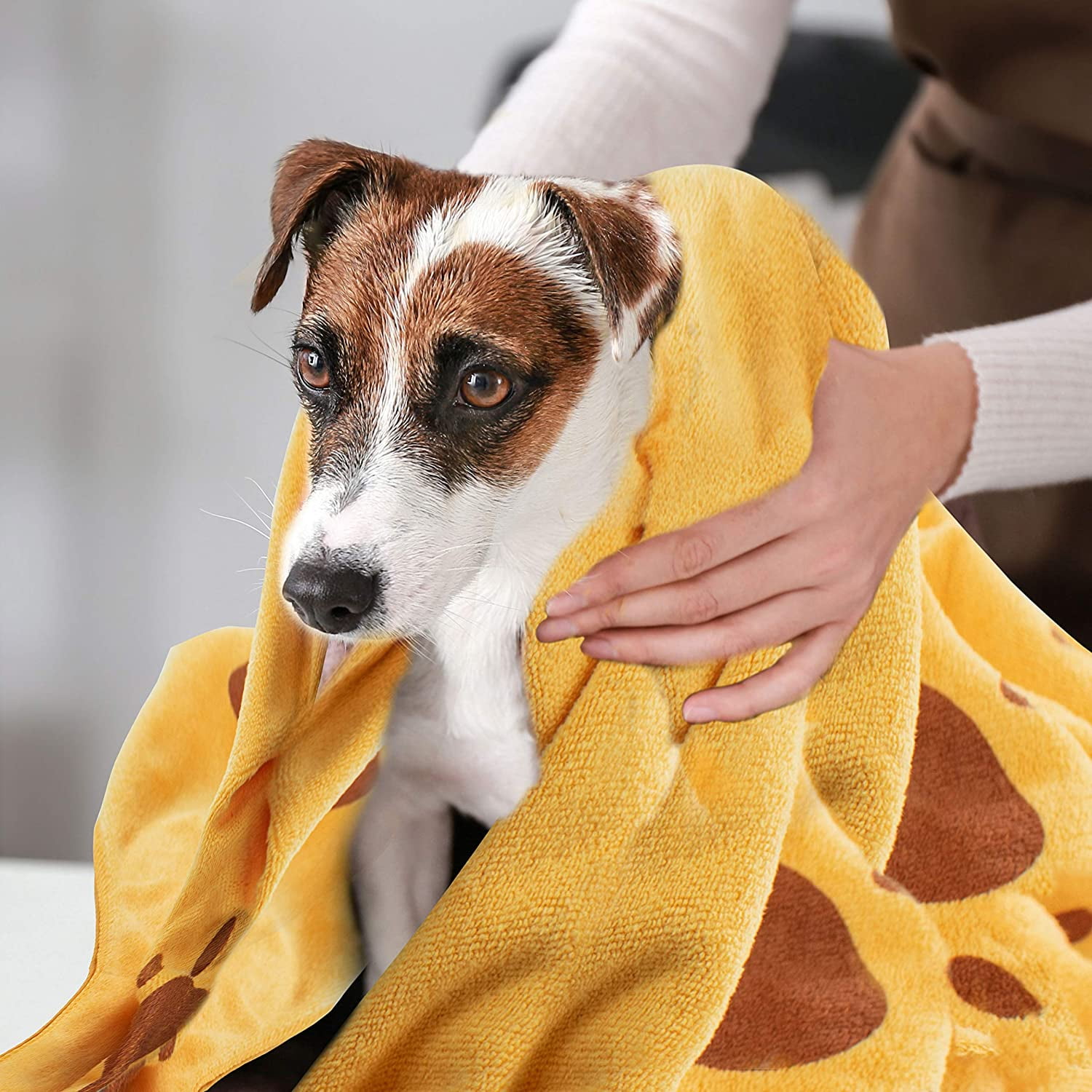 Microfiber dog blanket sale