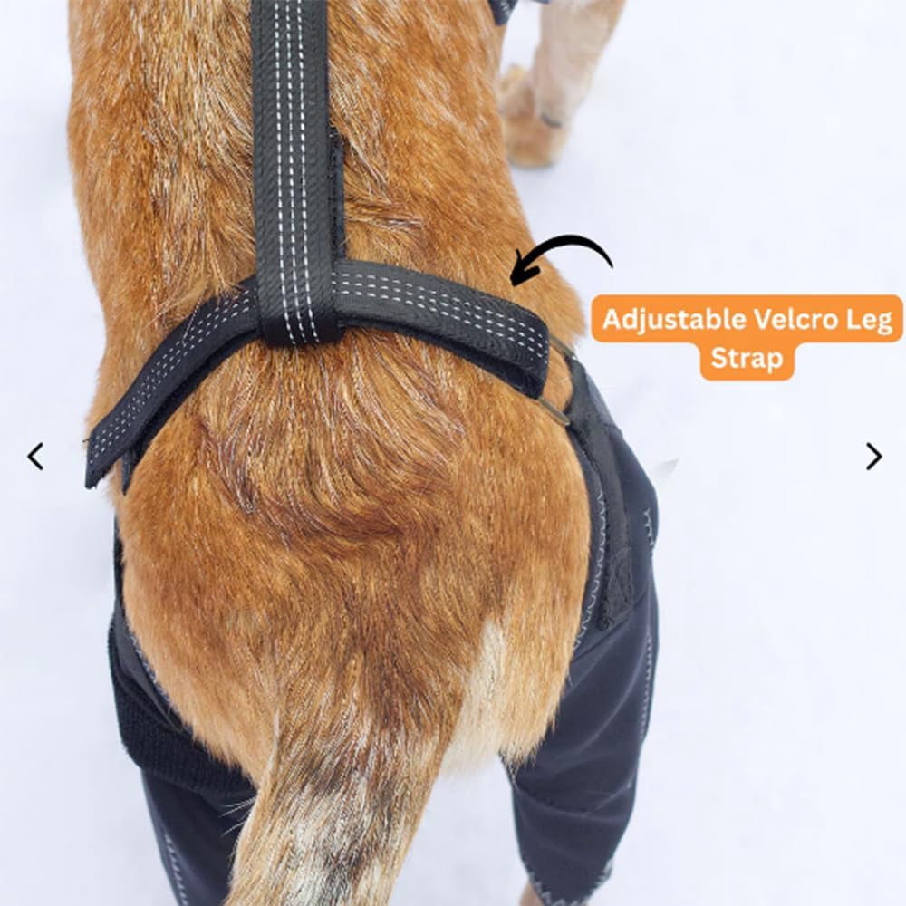 Wag Wize Knee Brace Harness for Dogs — Immediate Pain Relief & Improve Mobility,Wagwize Dog Knee Brace with Harness/4 Limb Wear Adjustable/Metal Stabilization System,Wagwize Dog Hip Brace (M)