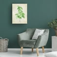 thumbnail image 3 of Trademark Fine Art Rosana Laiz Blursbyai Basil vintage Canvas Wall Art, 3 of 4